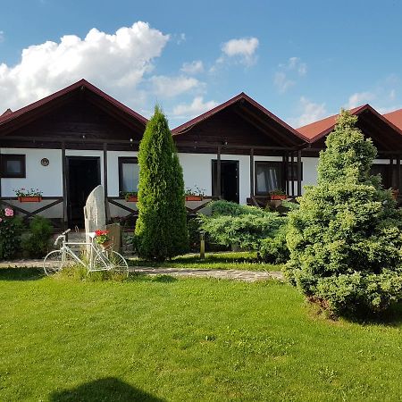 Pensiunea Valea Argesului Albestii Paminteni Exterior foto
