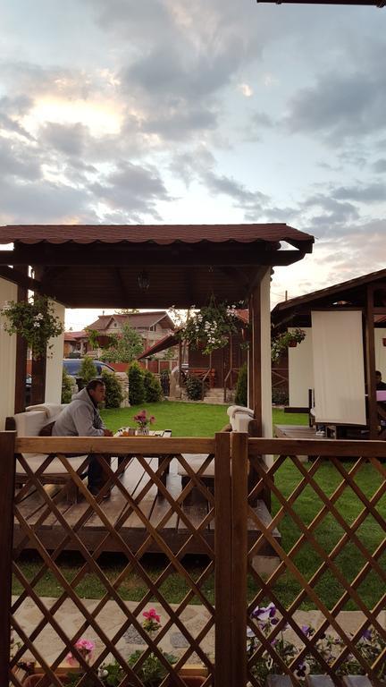 Pensiunea Valea Argesului Albestii Paminteni Exterior foto