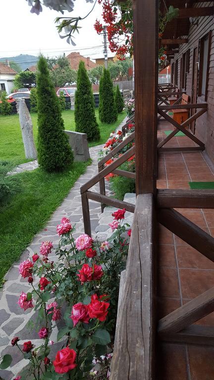 Pensiunea Valea Argesului Albestii Paminteni Exterior foto