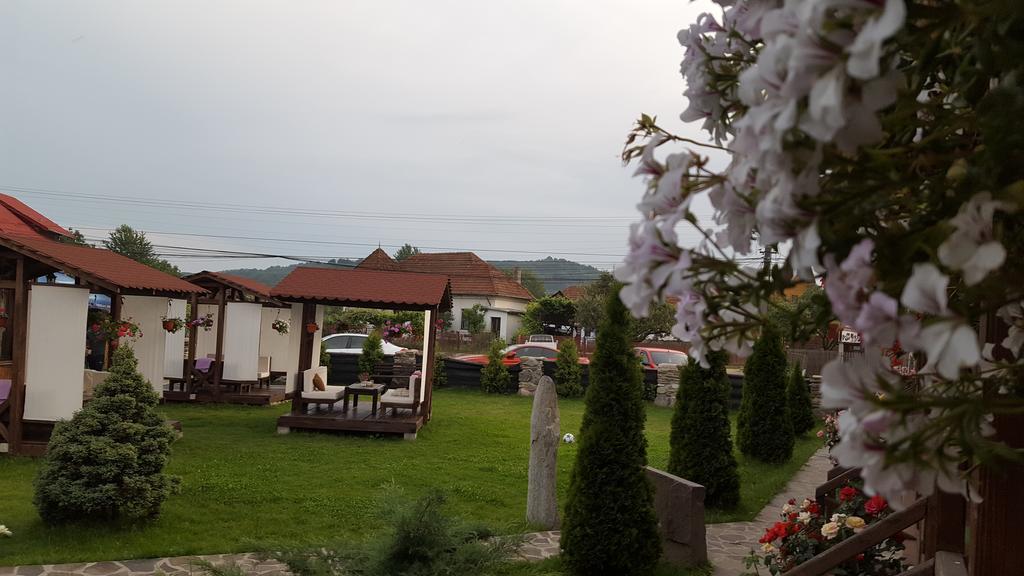 Pensiunea Valea Argesului Albestii Paminteni Exterior foto