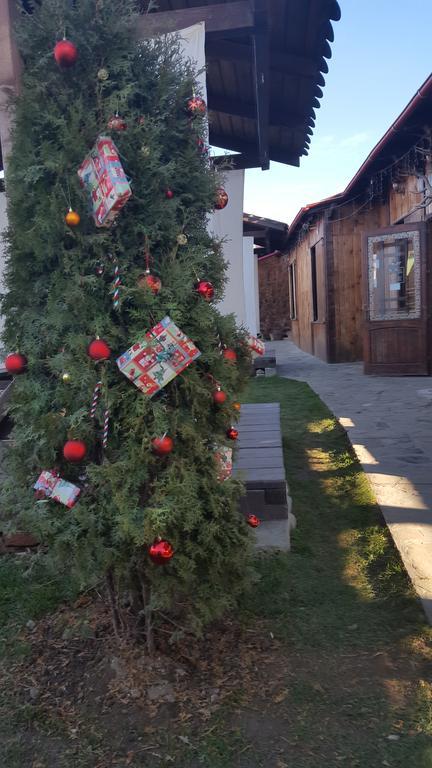 Pensiunea Valea Argesului Albestii Paminteni Exterior foto