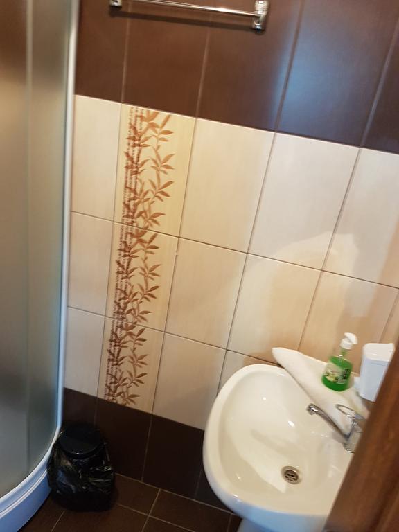 Pensiunea Valea Argesului Albestii Paminteni Exterior foto
