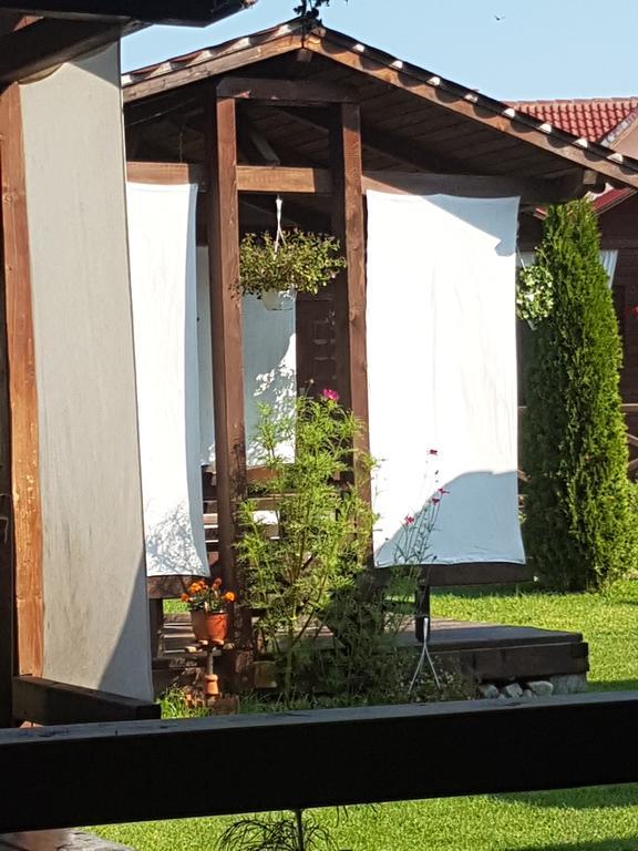 Pensiunea Valea Argesului Albestii Paminteni Exterior foto