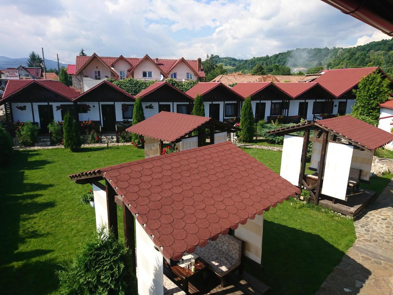 Pensiunea Valea Argesului Albestii Paminteni Exterior foto
