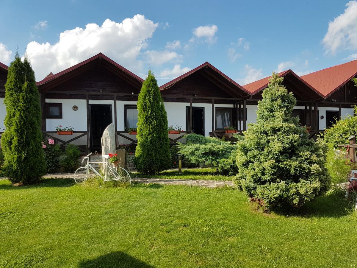 Pensiunea Valea Argesului Albestii Paminteni Exterior foto