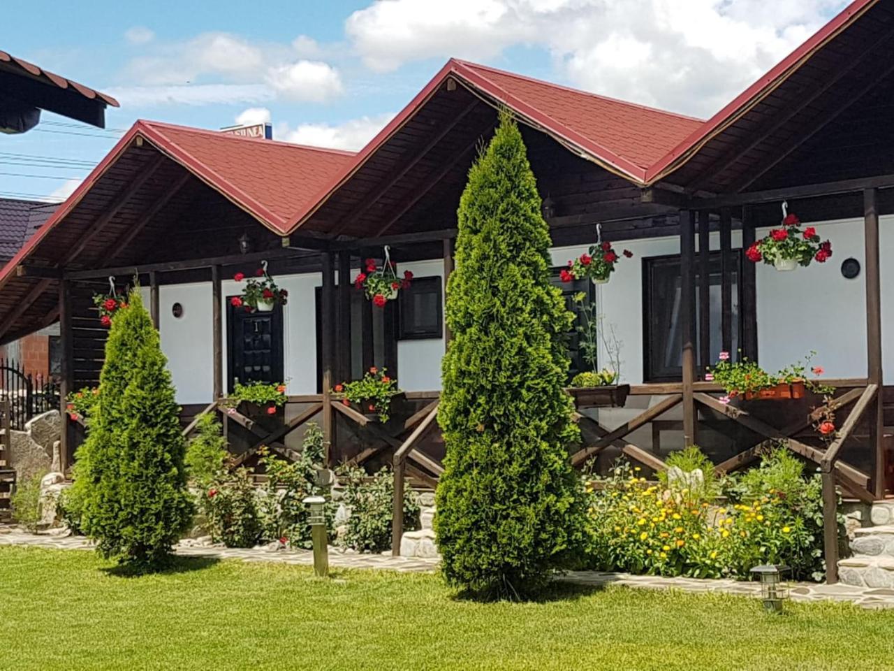 Pensiunea Valea Argesului Albestii Paminteni Exterior foto