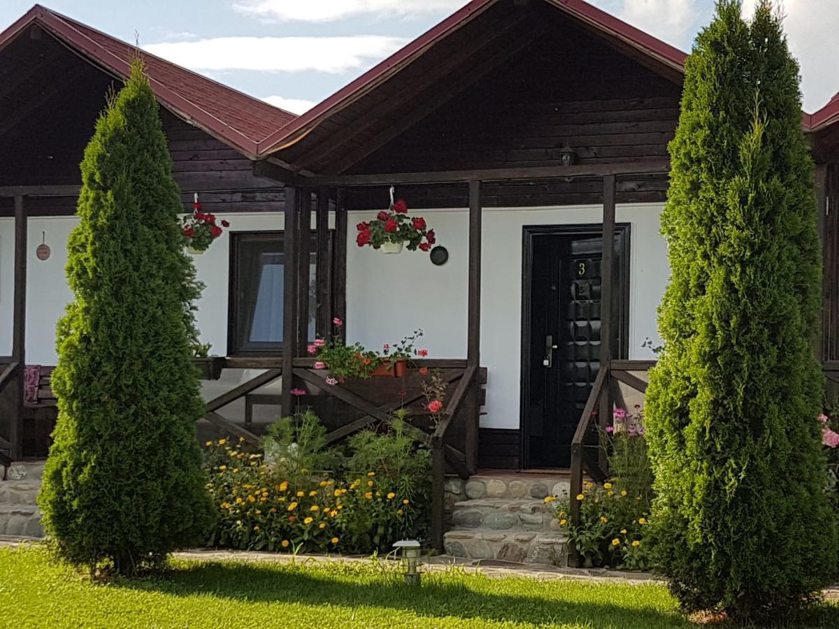 Pensiunea Valea Argesului Albestii Paminteni Exterior foto