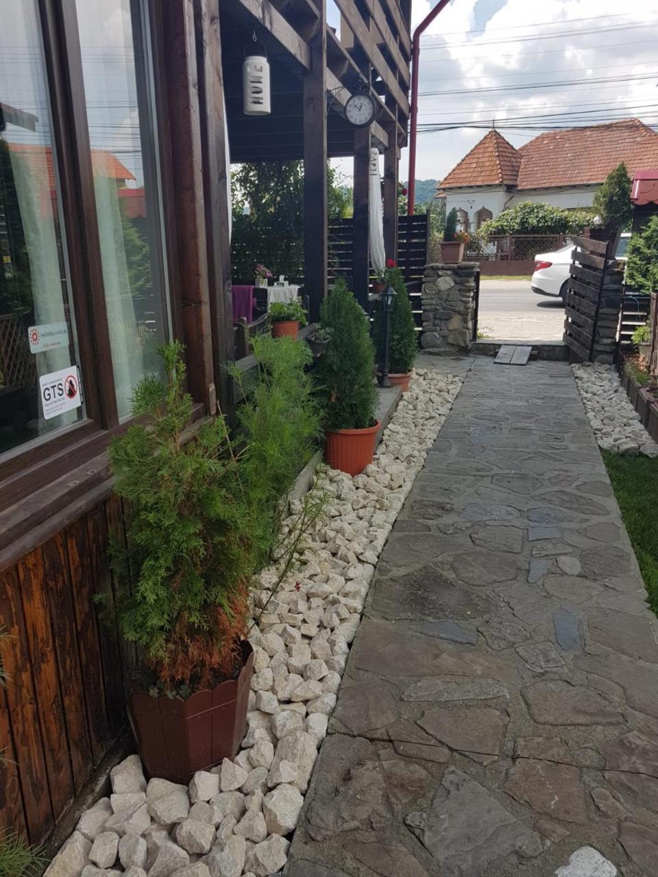 Pensiunea Valea Argesului Albestii Paminteni Exterior foto