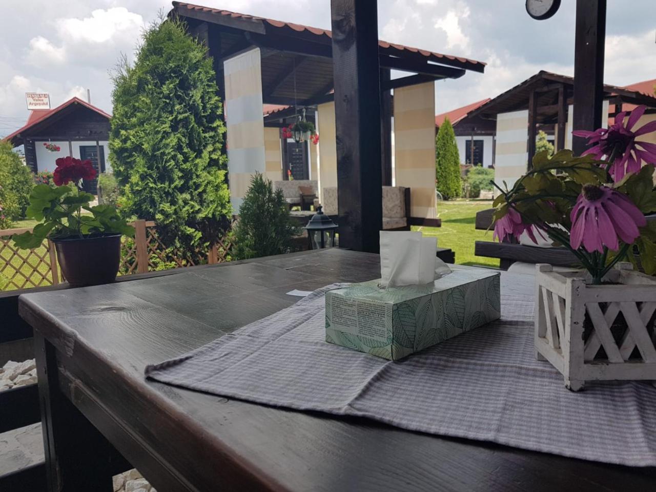 Pensiunea Valea Argesului Albestii Paminteni Exterior foto